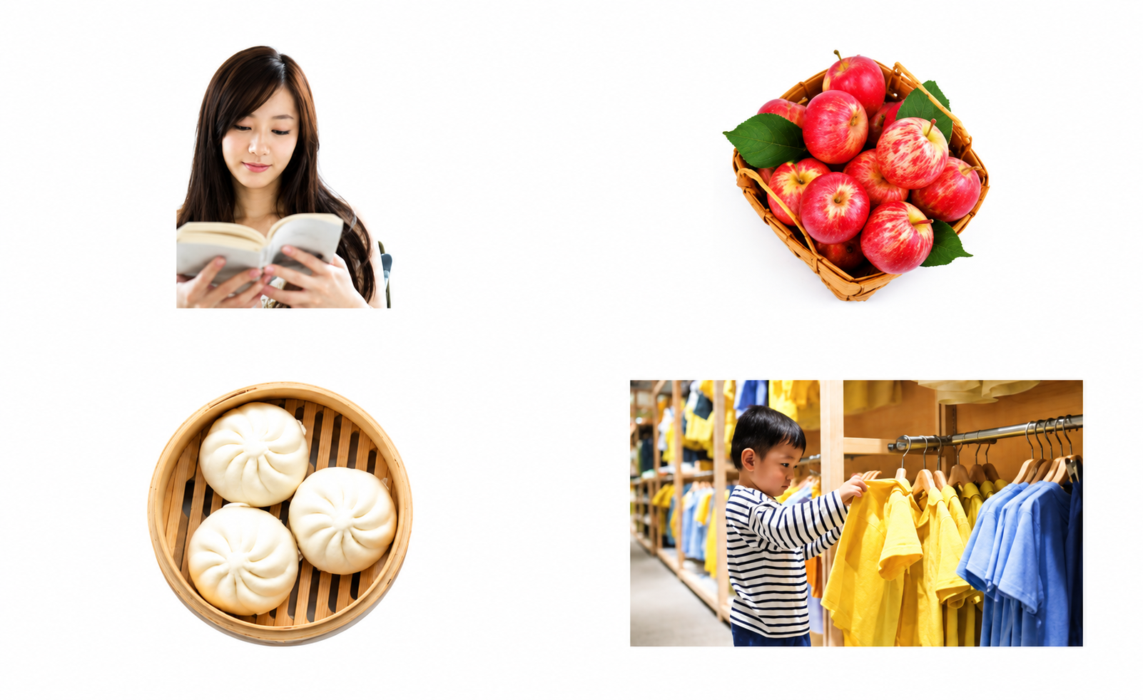 Các hình A đến D cho câu 11-13